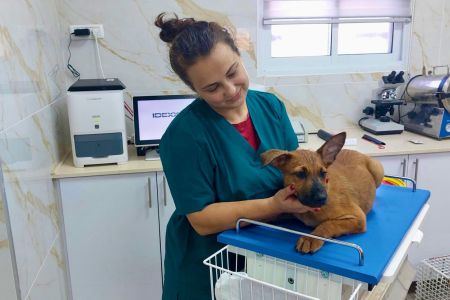 Новая лаборатория - в городском питомнике